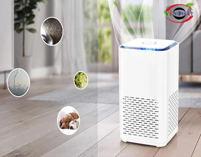 Tiêu diệt vi khuẩn, virus và nấm mốc