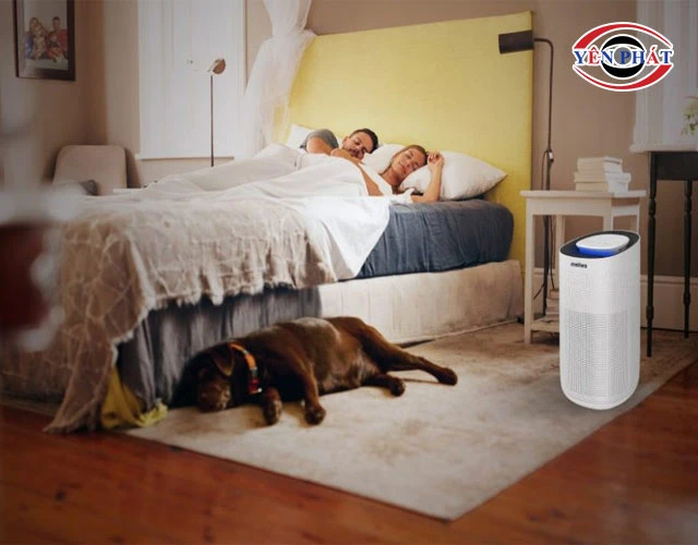 Thời gian và chế độ hoạt động