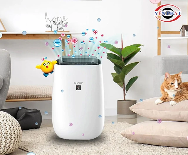 Máy lọc không khí Sharp