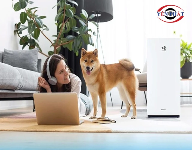 Máy lọc không khí Daikin MC80ZVM7 tại gia đình có người nhạy cảm