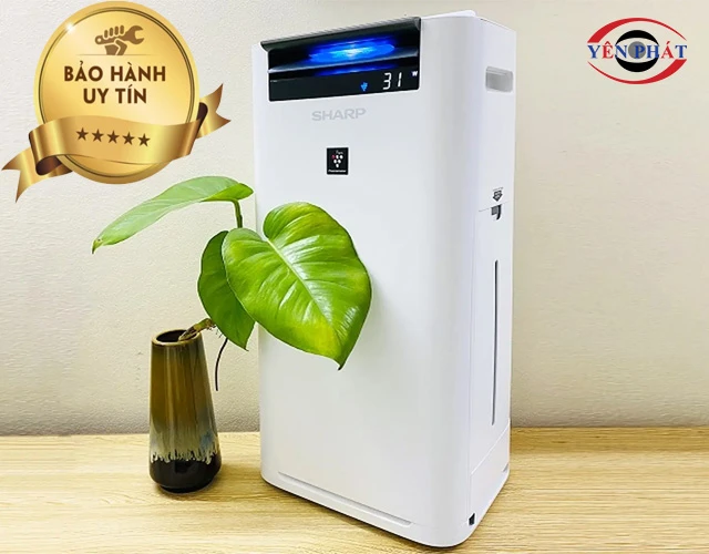 Chính sách bảo hành và hỗ trợ kỹ thuật từ hãng Sharp