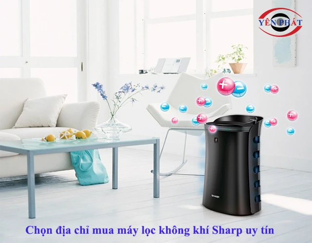 Kinh nghiệm chọn địa chỉ mua hàng
