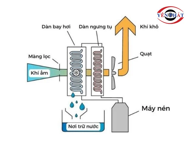 nguyên lý của Máy hút ẩm 25L