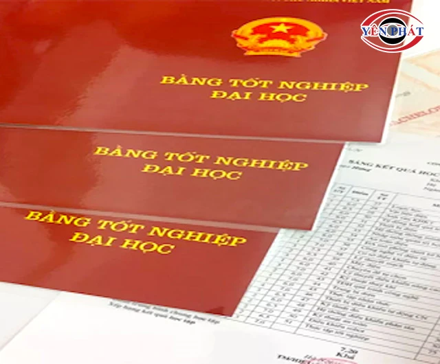 ép plastic bằng đại học