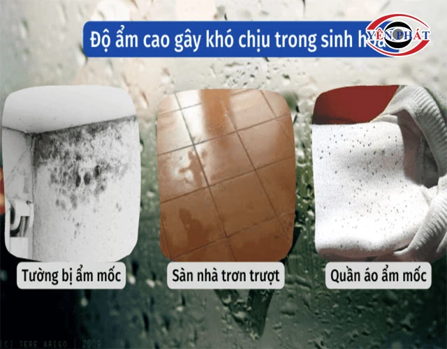 Tác hại khi độ ẩm cao