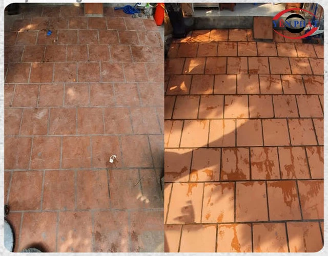 thiếu ánh sáng mặt trời là môi trường lý tưởng cho rong rêu