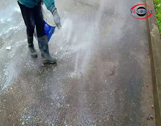 Xem xét sơn chống rêu hoặc phủ bề mặt