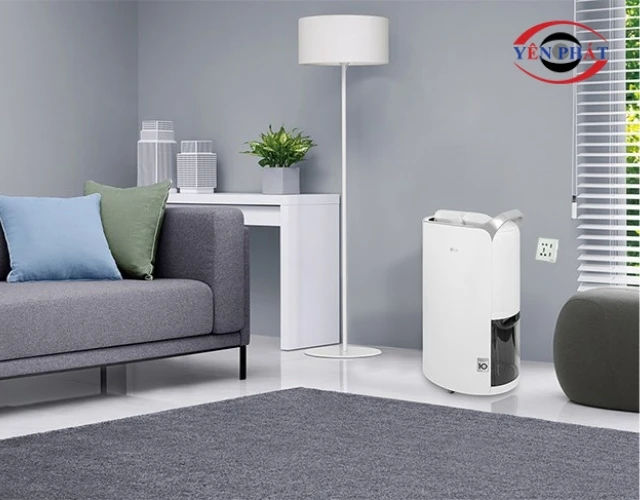 Cắm máy hút ẩm vào ổ điện