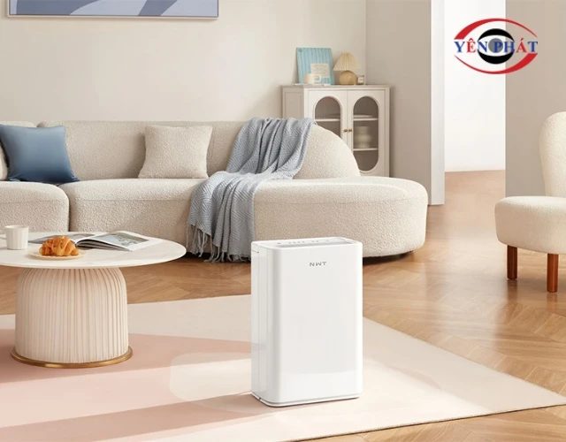 Máy hút ẩm giúp bảo vệ đồ nội thất trong nhà khỏi ẩm mốc