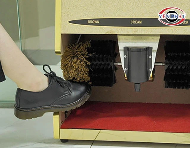 Vệ sinh bằng máy đánh giày, dưỡng da định kỳ