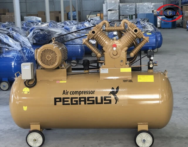 Bí kíp “gia hạn” tuổi thọ cho máy nén khí Pegasus TM-W-1.6/8-500L