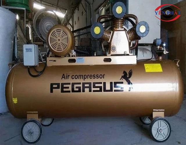 Cụm đầu nén máy nén khí dây đai Pegasus TM-W-1.6/8-500L