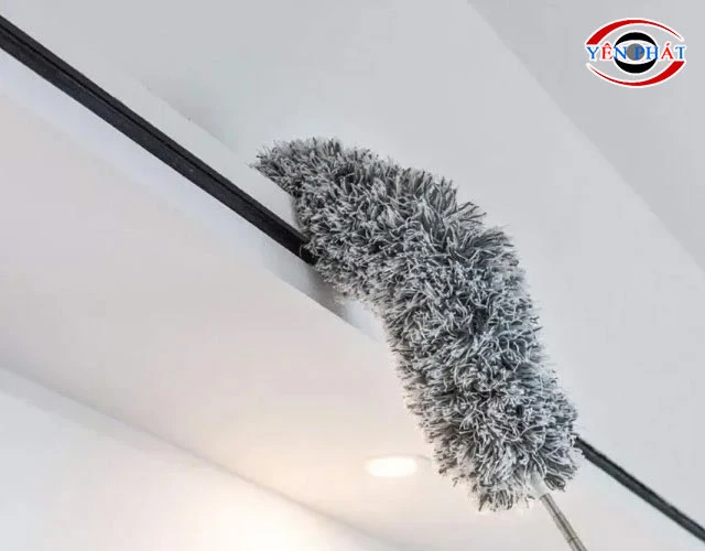 Cây phủi bụi