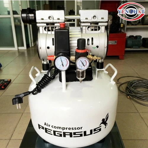 Máy nén khí không dầu Pegasus TM-OF750-40L 5