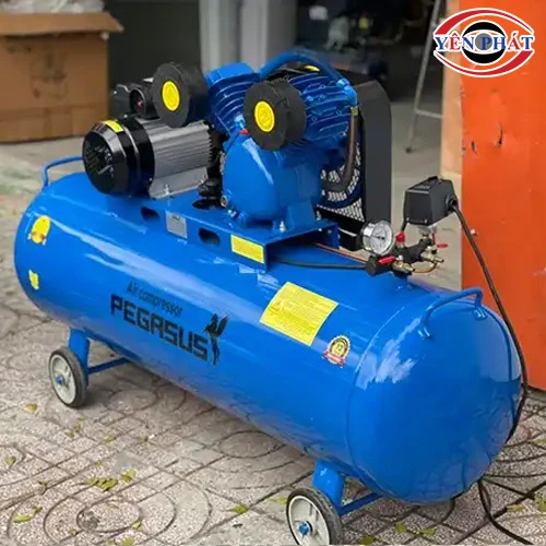 Máy nén khí mini Pegasus TM-V-0.17/8-70L 3