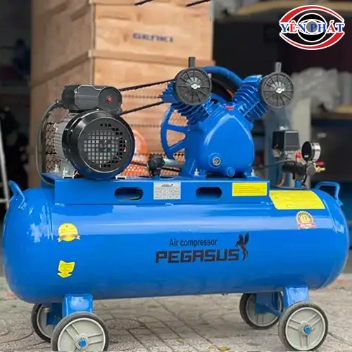Máy nén khí mini Pegasus TM-V-0.17/8-70L 4