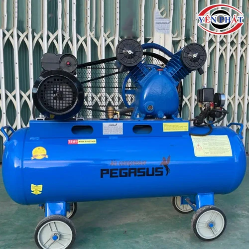 Máy nén khí mini Pegasus TM-V-0.17/8-70L 5