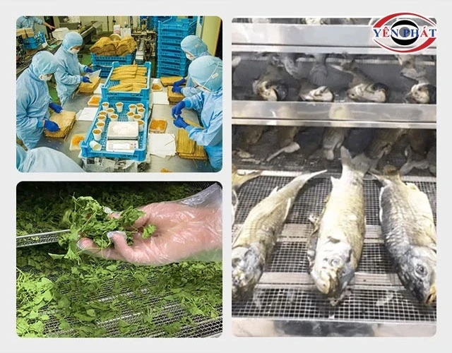 máy nén khí 3HP trong thực phẩm