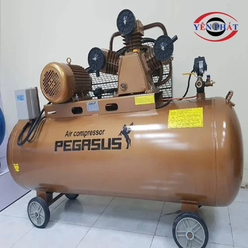 Máy nén khí Pegasus TM-V-0.17/8-120L 3