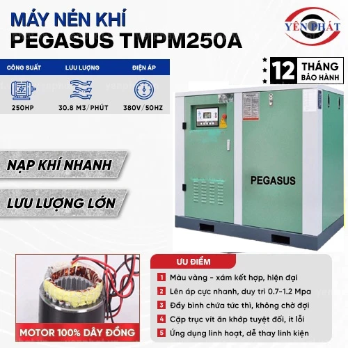 Máy nén khí trục vít Pegasus TMPM250A 2