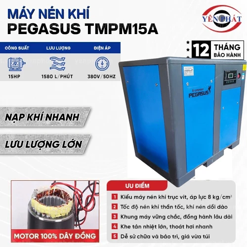Máy nén khí trục vít Pegasus TMPM15A 2