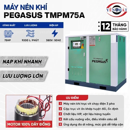 Máy nén khí trục vít Pegasus TMPM75A 2