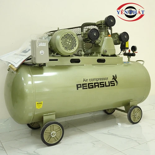 Máy nén khí Pegasus TM-V-0.36/8-230L 3