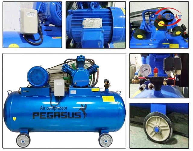 Độ bền máy nén khí Pegasus TM- W-0.67/8-330L