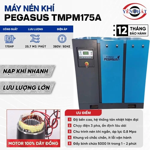 Máy nén khí trục vít Pegasus TMPM175A 2