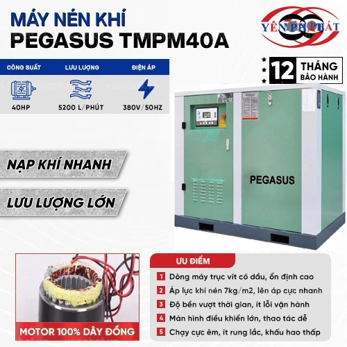 Máy nén khí trục vít Pegasus TMPM40A 2