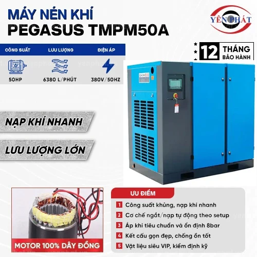 Máy nén khí trục vít Pegasus TMPM50A 2