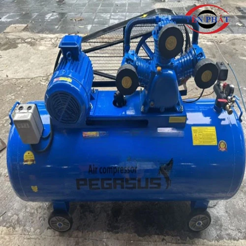 Máy nén khí pegasus TM-W-1.0/8-500L 4