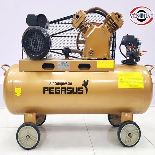 Máy nén khí công nghiệp Pegasus TM-V-0.25/8-120L 3