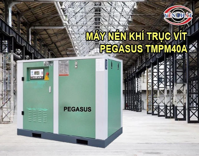 giao diện Máy nén khí trục vít Pegasus TMPM40A