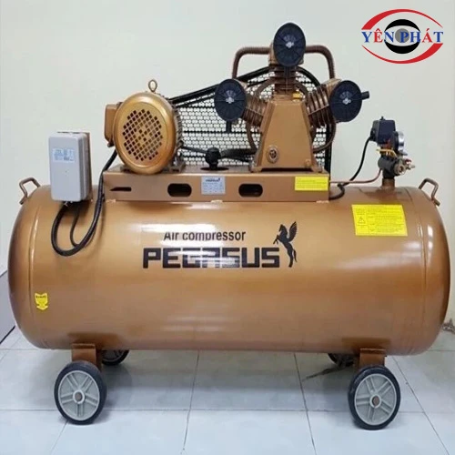 Máy nén khí dây đai Pegasus TM-W-0.36/12.5-180L (220V) 4