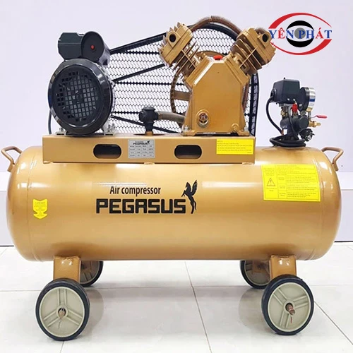 Máy nén khí công nghiệp Pegasus TM-V-0.25/8-180L 5