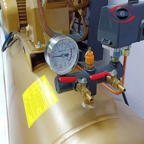 Máy nén khí công nghiệp Pegasus TM-V-0.25/8-180L 3