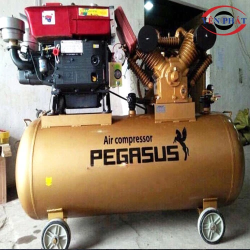 Máy nén khí chạy dầu Pegasus TM-W-2.0/8-500L 3