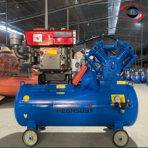 Máy nén khí chạy dầu Pegasus TM-W-1.0/8-330L 5