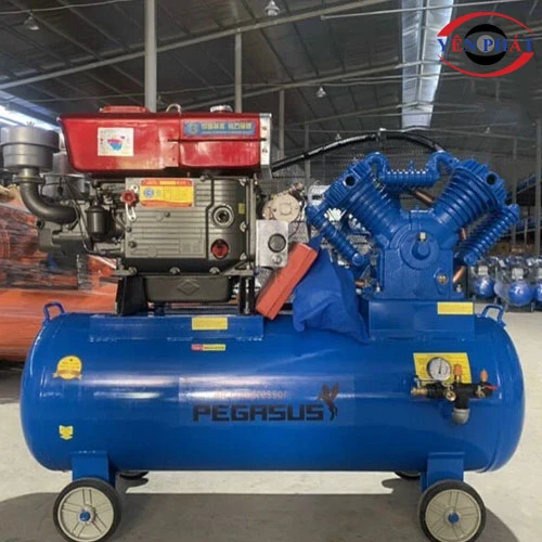 Máy nén khí chạy dầu Pegasus TM-W-1.0/8-500L 4
