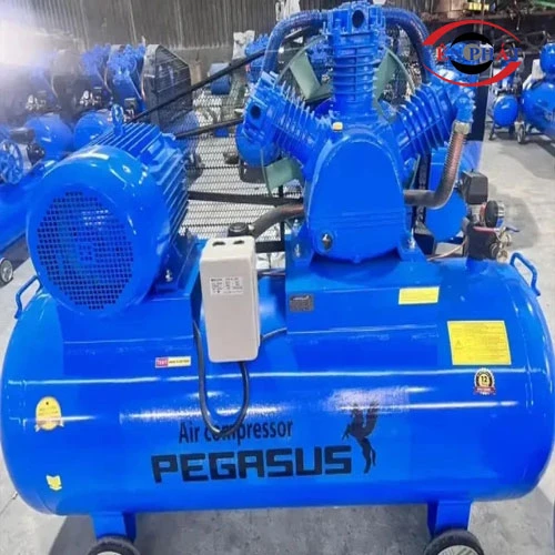 Máy nén khí dây đai Pegasus TM-W-1.6/12.5-500L 3