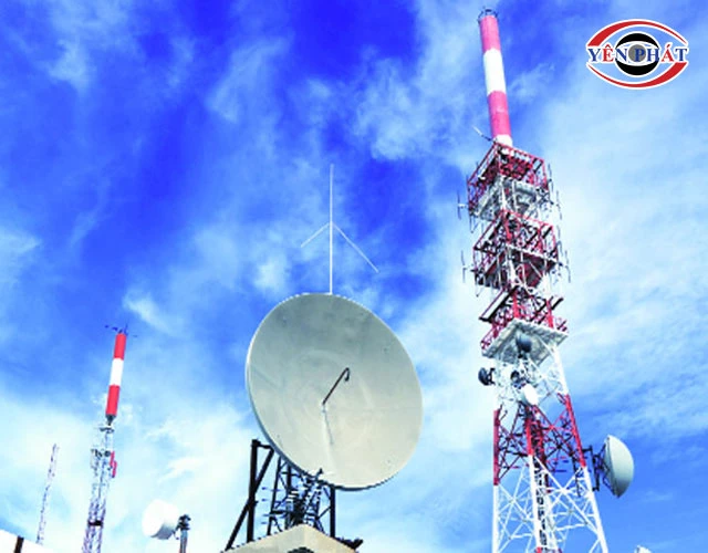 Các hành vi vi phạm phổ biến bị nghiêm cấm