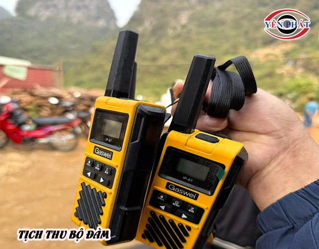 Các hình thức xử phạt bổ sung