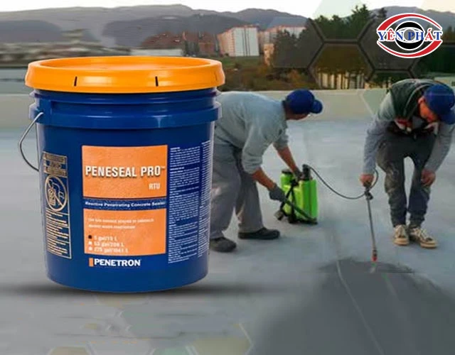 phủ dung dịch lên mặt sàn