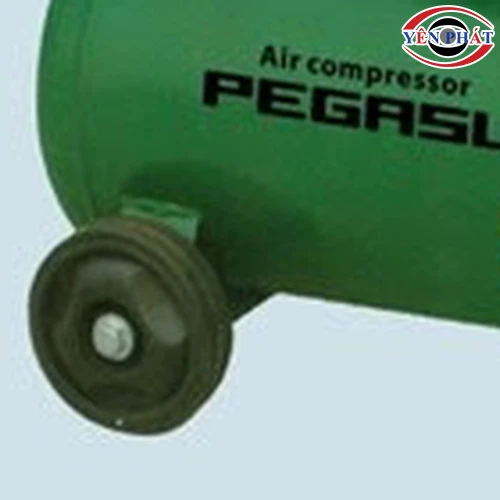 Máy nén khí đầu liền PEGASUS TM-0.11/8-B24 3