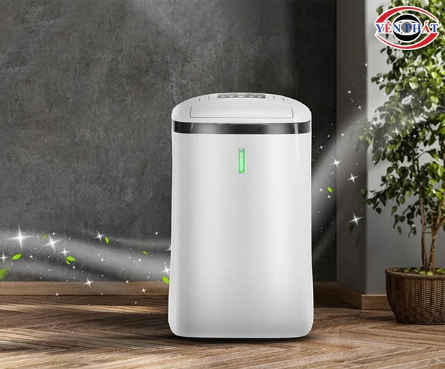 bật máy hút ẩm cả ngày giảm nấm mốc