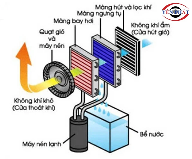 Nguyên lý máy hút ẩm
