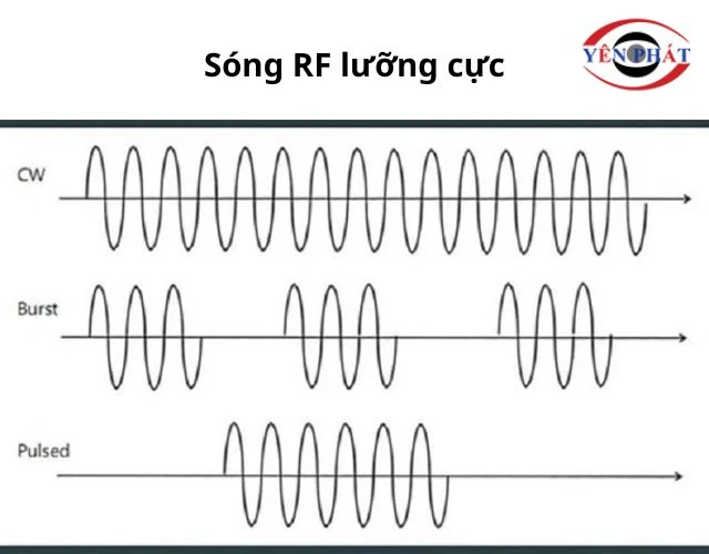 Hình ảnh sóng rf lưỡng cực