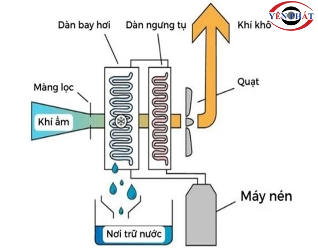 Hiểu rõ cơ chế hoạt động của máy hút ẩm