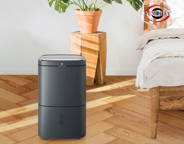 Máy hút ẩm sấy giày Electrolux EDH 14TR HD2